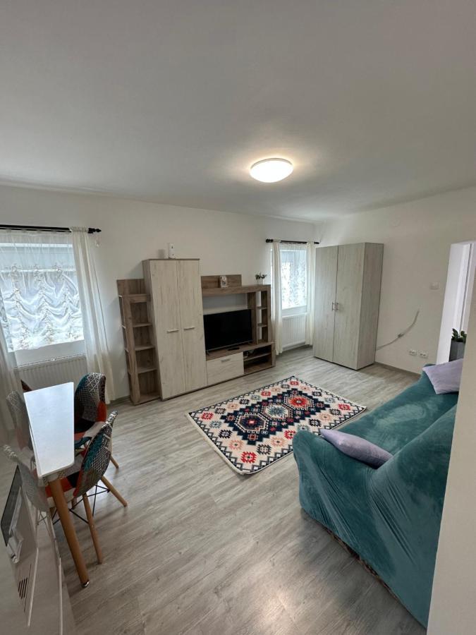 Nema S Apartment Brasov Bagian luar foto